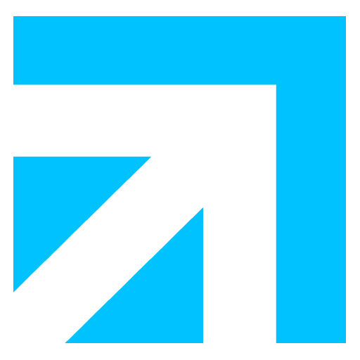 Bonzer logo