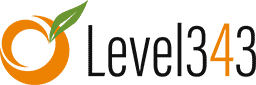 Level343 logo