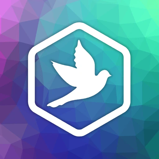 Morningdove Marketing logo: a white dove inside a hexagon on a purple, blue and green polygon background