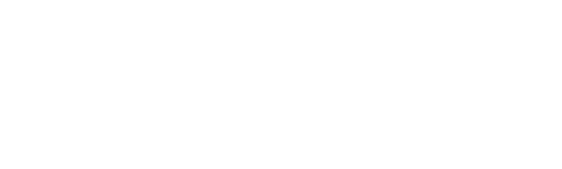 Vixen Digital logo