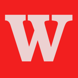 Wirefox Digital Agency logo